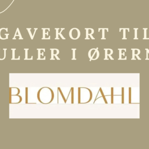 Gavekort - Til huller i ørerne