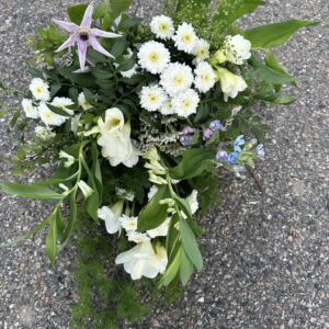 Lyser i mørket