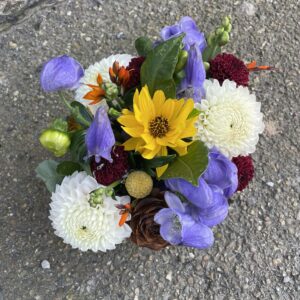 Farverig blomsterkurv