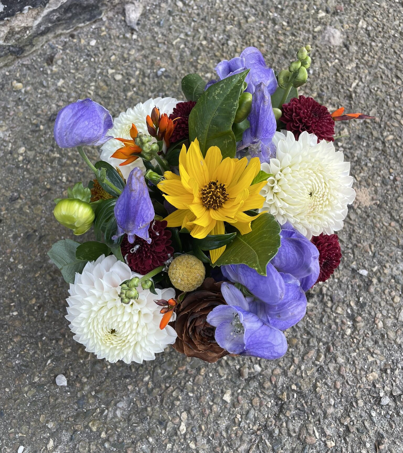 Farverig blomsterkurv